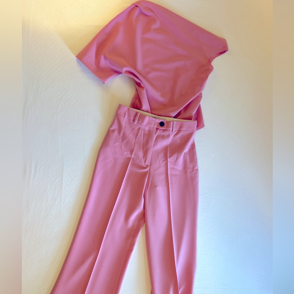 Zara Women Pink Top and Pants Set